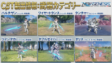 Pso2 Ngs わざわざウィオラマギカ着てる人っているの ニュージェネシス Pso2ニュージェネシスまとめ速報